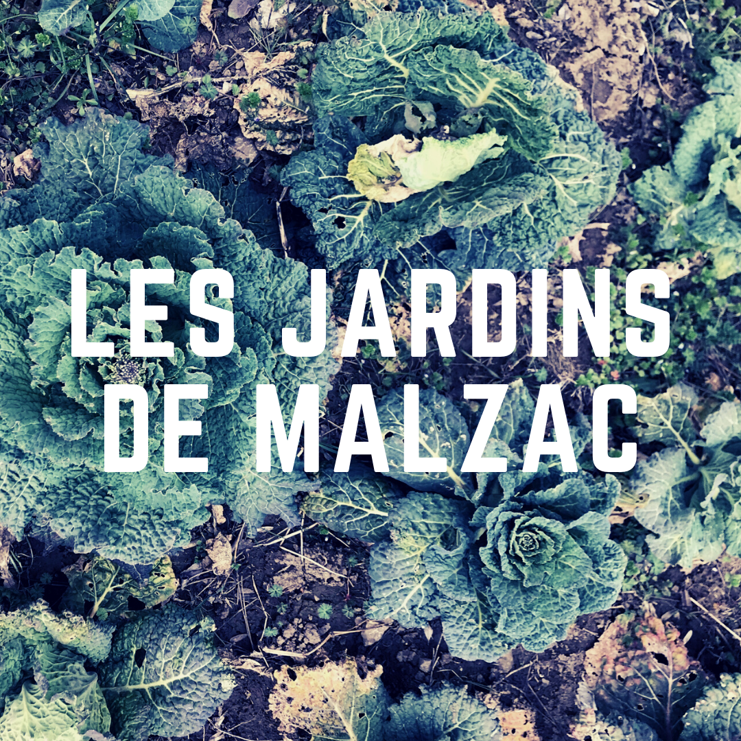 MALZAC Alain